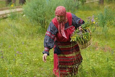 В Бузулукском бору появился экопарк